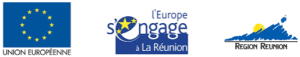 logo europe réunion